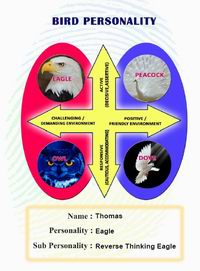 bird personality report